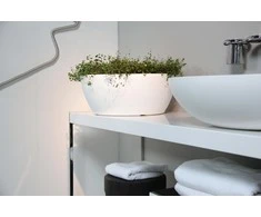 Nicoli ø40x16cm dubuo Thetis 40 baltos spalvos