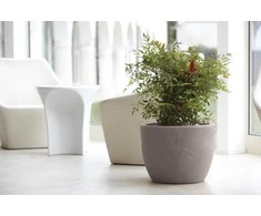 Nicoli ø40x30cm vazonas Hera 40 pelenų spalvos