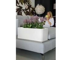 Nicoli 50x20x18cm lovelis Calypso Matt 50 baltos spalvos