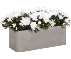 Nicoli 50x20x18cm lovelis Calypso Matt 50 pelenų spalvos