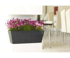 Nicoli 50x20x18cm lovelis Mysia 50 antracito spalvos