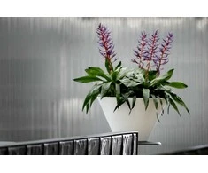 Nicoli ø50x29cm vazonas Chiron 50 baltos spalvos