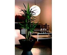 Nicoli ø60x36cm vazonas Chiron 60 antracito spalvos