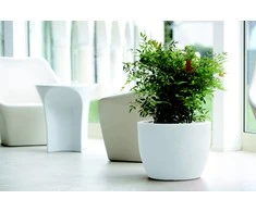 Nicoli ø60x45cm vazonas Hera 60 baltos spalvos