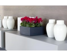 Nicoli 25x25x12cm vazonas Minos 25 antracito spalvos
