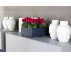 Nicoli 40x40x15cm vazonas Minos 40 antracito spalvos