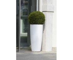Nicoli ø43x90cm vazonas Talos Matt 43 baltos spalvos