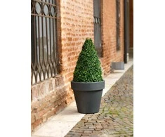 Teraplast Italija Teraplast ø70x63cm vazonas Standard One 70, antracito spalvos