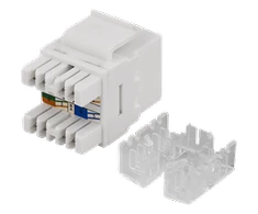UTP Cat6 kabelių jungtis, neekranuota, 180 laipsnių, 22-26AWG DELTACO / MD-110