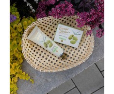 Accentra Rankų priežiūros rinkinys ESSENTIAL BOTANICS – CLASSICS