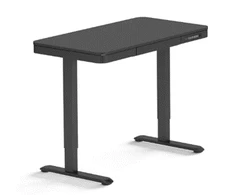 Flexispot reguliuojamo aukščio stalas EW9BB, 120 cm