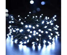 LED šviečianti dekoracija, 10000 mm, 100 LED, balta spalva, IP44, 1A10M-3, L10
