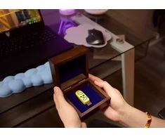 USB laikmena Sandisk Fortnite, Peely Edition, 256GB (SDCZIF-256G-G46)
