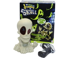 Interaktyvus žaidimas The Visions of Johny The Skull, 3125