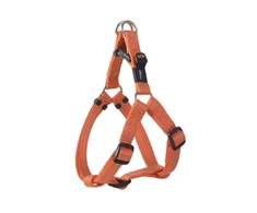 Petnešos šunims Rogz, S (270 - 380 mm x 11 mm), Oranžinės