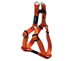 Petnešos šunims Rogz, S (270 - 380 mm x 11 mm), Oranžinės