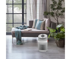 Oro valytuvas Boneco P230