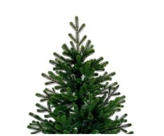 Kalėdinė eglutė PE Christmas tree Traditional, 160 cm