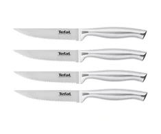 Peilių rinkinys Tefal K1700879, 4 vnt.