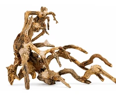 Terra Natura Bonsai medžio dekoracija akvariumui ir terariumui Nr. 64, 50x40 cm (TN-42088)