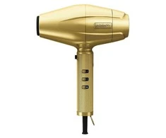 Profesionalus plaukų džiovintuvas BaByliss Pro 4 Artists Gold FX Digital Dryer FXBDG1E, 2200 W, aukso spalvos