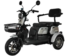 Beaster Scooter Elektrinis triratis motoroleris, BSKENDO4A, pilkas, surinktas, 500 W