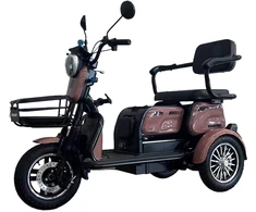 Beaster Scooter Elektrinis triratis motoroleris, BSKENDO3A, rudas, surinktas, 500 W