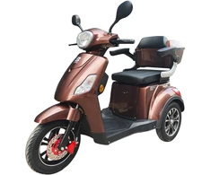 Beaster Scooter Elektrinis triratis motoroleris, BSMAGNUM2A, rudas, surinktas, 1000 W