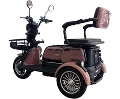 Beaster Scooter Elektrinis triratis motoroleris, BSKENDO3A, rudas, surinktas, 500 W