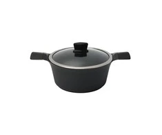 Indukcinis puodas su dangčiu Zyle ZY3020PT Ø20 cm, 2,3l