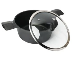 Indukcinis puodas su dangčiu Zyle ZY3020PT Ø20 cm, 2,3l