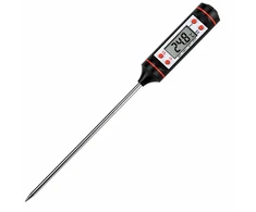 Maistinis skaimeninis termometras Zyle ZY0101TH