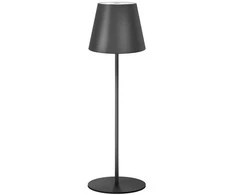 Stalinis LED šviestuvas Zyle Table Lamp ZY1238, įkraunamas, IP54, juodas
