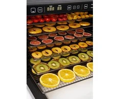 Maisto produktų džiovyklė Zyle ZY100FD
