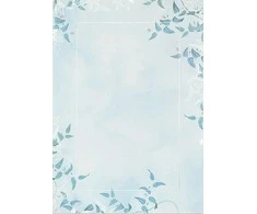 Galeria Papieru Popierius diplomams A4 190g 20l VERA