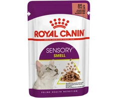 Royal Canin FHN Sensory Smell gravy kačių konservuotas pašaras, 85 g, maišelyje