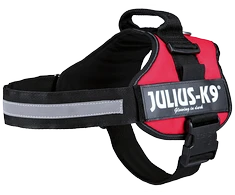 Trixie Petnešos Julius-K9, 2/L–XL: 71–96 cm, raudonos sp.