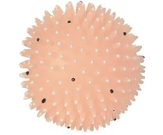 TRIXIE Kamuolys su spygliais, fosforescuojantis, vinilas, ø 10 cm