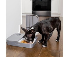 Petsafe 2 Meal Pet Feeder automatinė dviejų maitinimų šėrykla