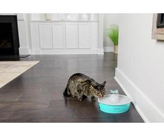 PetSafe Drinkwell Original vandens talpos girdykla - fontanas- DRUGELIS skirta mažiems bei vidutinio dydžio šunims ir katėms girdyti