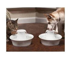 PetSafe Drinkwell Avalon fontanėlis girdykla šunims ir katėms 2L