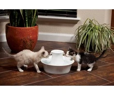 PetSafe Drinkwell Avalon fontanėlis girdykla šunims ir katėms 2L