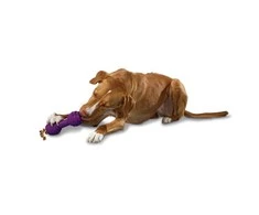 Petsafe Busy Buddy Chuckle guminis kaulas su cypuku dideliems šunims