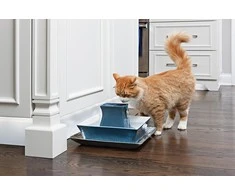 PetSafe Drinkwell Pagoda Mėlynas fontanėlis girdykla šunims ir katėms 2L