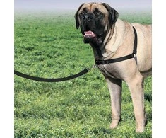 Petsafe Easy Walk® Harness XL juodos petnešos (apimtis 86-117cm)