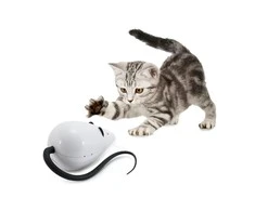 Petsafe FroliCat ROLORAT Automatic Cat Teaser automatinis žaislas katėms pelė