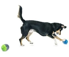 PetSafe Ricochet elektroninis žaislas šunims