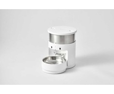 Dėklas Evelatus Samsung S10e 6127 Gray