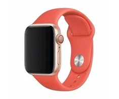 Išmaniojo laikrodžio Apple sportinis dirželis, Oranžinės spalvos, 40mm