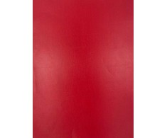 Evelatus Universal Universal Classic Cowhide A3 Film for Screen Cutter Raudona